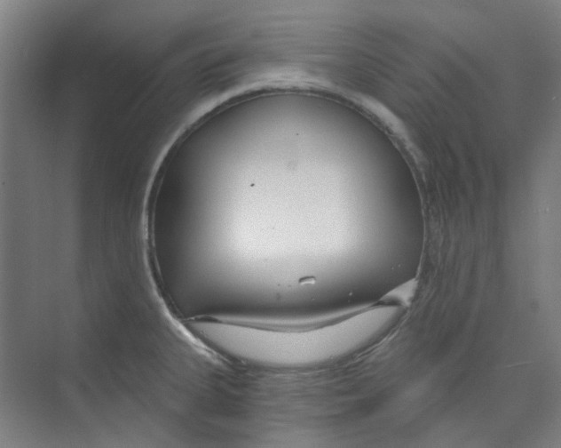 X0000074021335200609181851