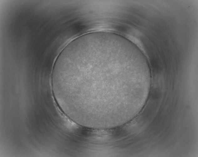 X0000074021338200609181851