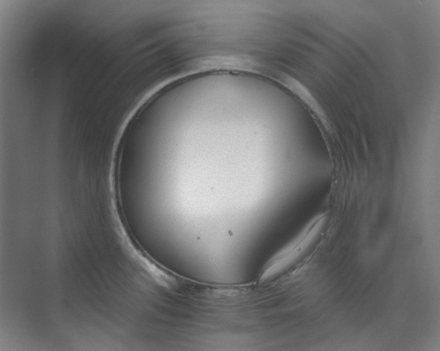 X0000074021339200609181851