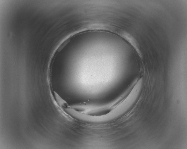 X0000074021342200609181851