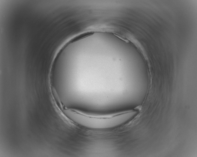 X0000074021344200609181851