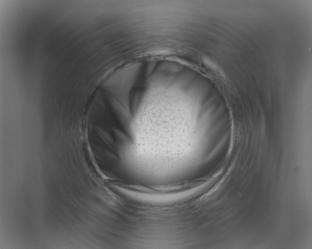 X0000074021353200609181850