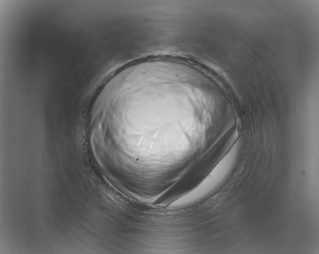 X0000074021359200609181850
