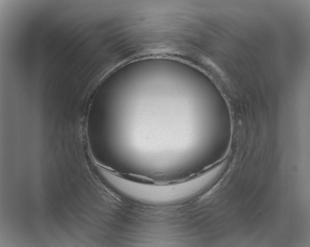 X0000074021361200609181850