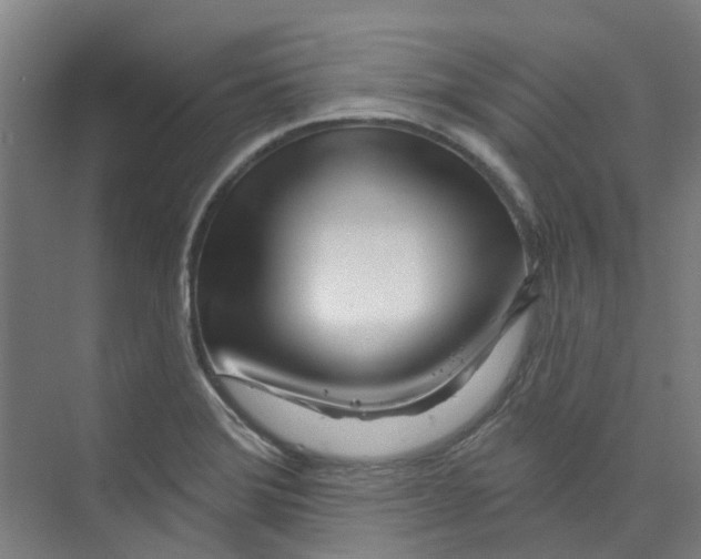 X0000074021372200609181850