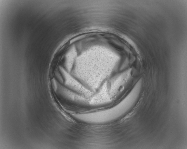 X0000074021373200609181850