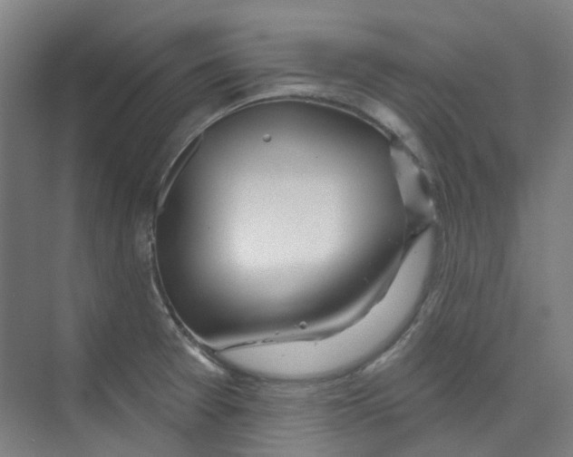 X0000074021377200609181849