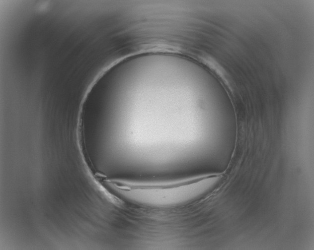 X0000074021379200609181849
