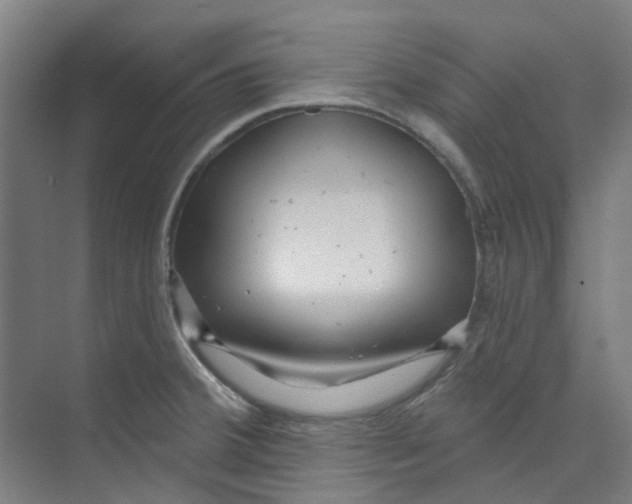 X0000074021380200609181849