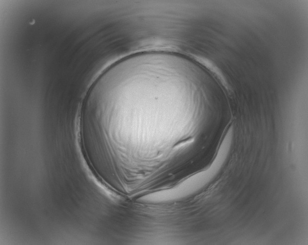 X0000074021383200609181849