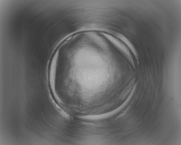 X0000074021388200609181849