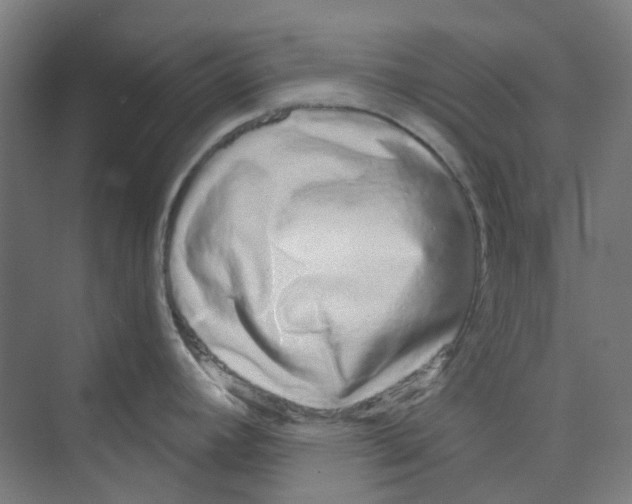 X0000074021392200609181849