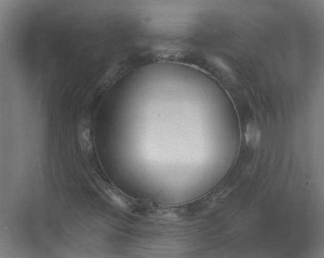 X0000074021396200609181848