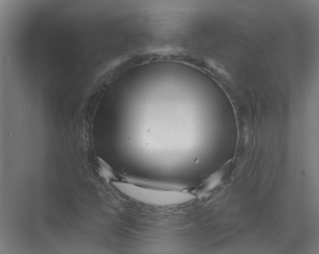 X0000074021398200609181849