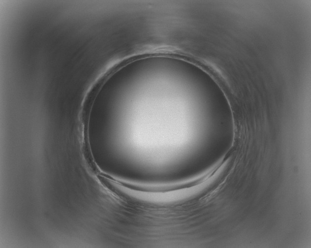 X0000074021414200609181849