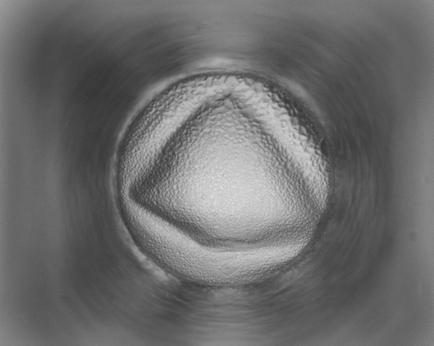 X0000074021421200609181849