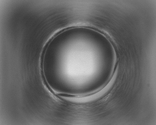 X0000074021422200609181849
