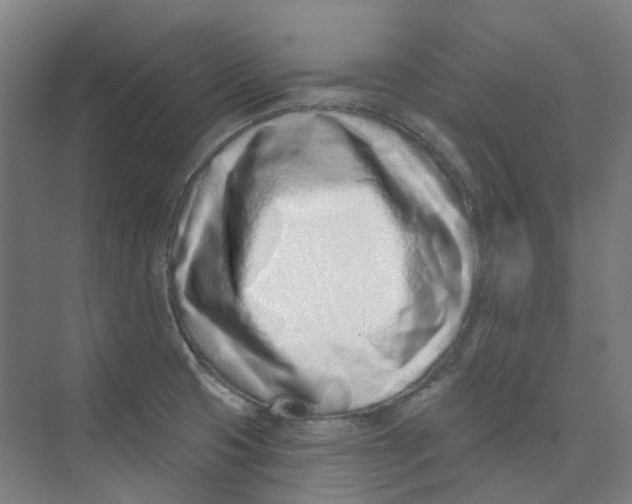 X0000074021425200609181849