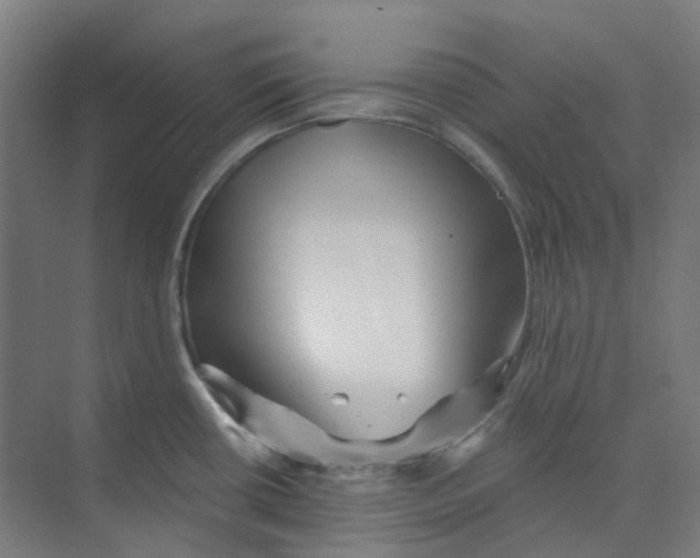 X0000074021434200609181849