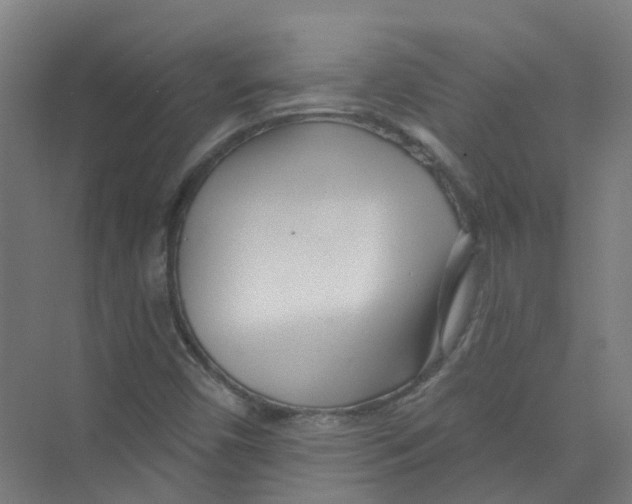 X0000074021450200609181848