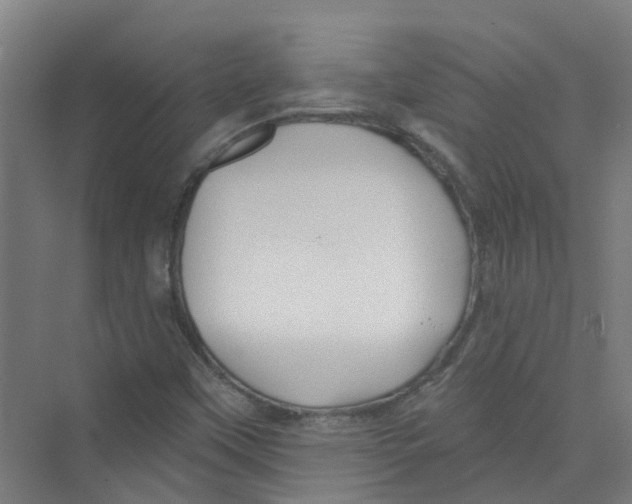 X0000074021451200609181848