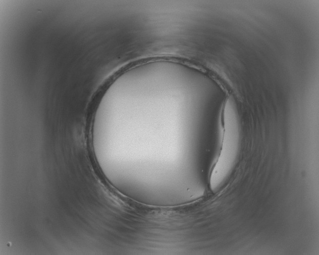 X0000074021452200609181848