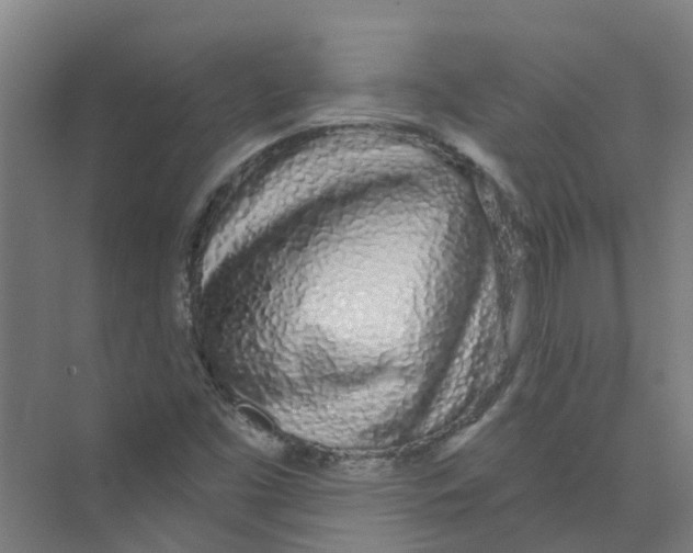 X0000074021453200609181848
