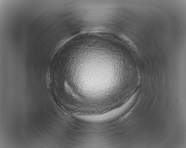 X0000074021457200609181848