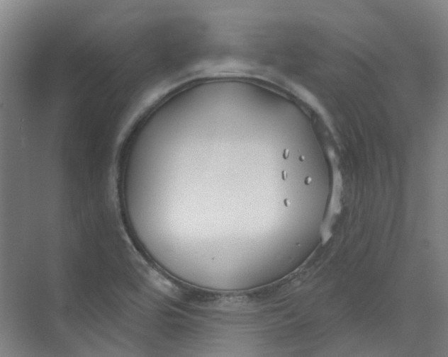 X0000074021464200609181848
