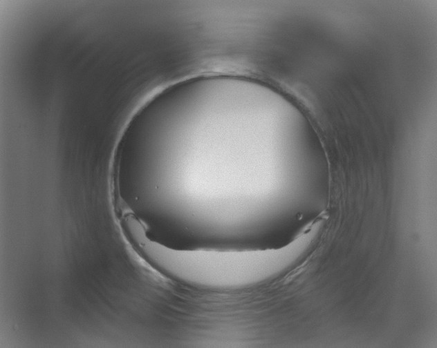 X0000074021471200609181848