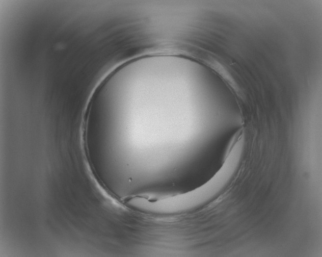 X0000074021484200609181848