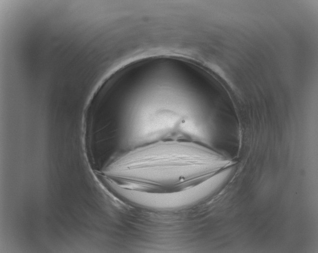 X0000074021508200609181847