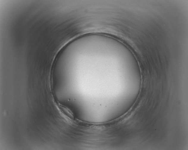 X0000074021513200609181847