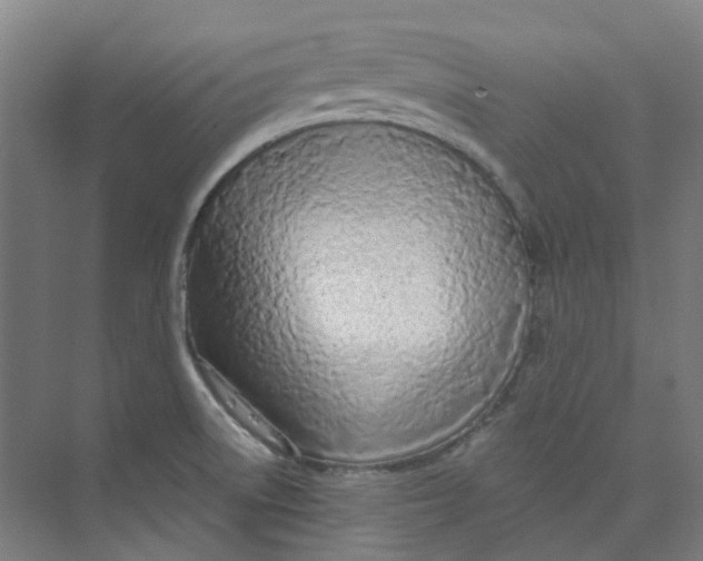 X0000074021522200609181847