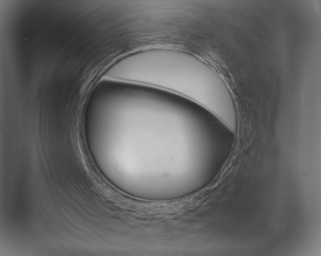 X0000074030001200608211148