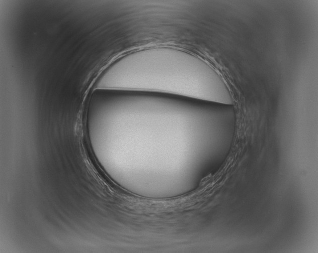 X0000074030002200608211148