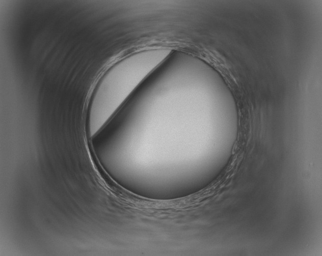 X0000074030003200608211148