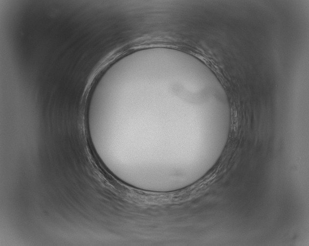 X0000074030004200608211148