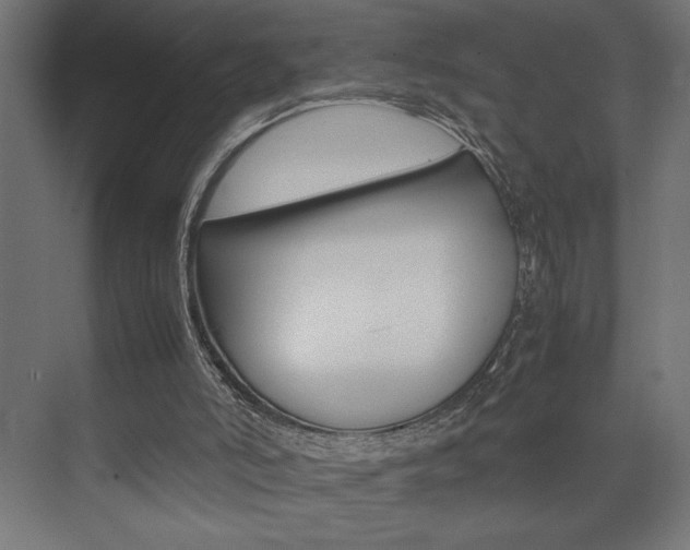 X0000074030006200608211148