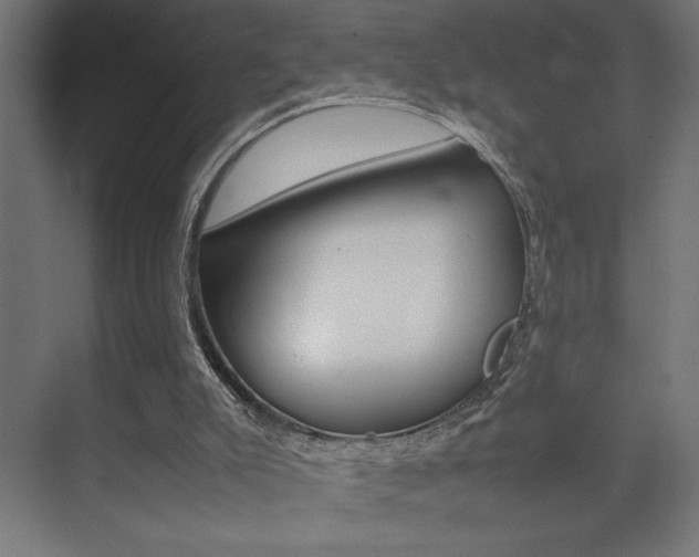 X0000074030007200608211148