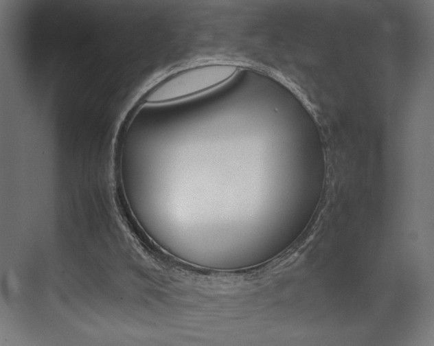 X0000074030008200608211148