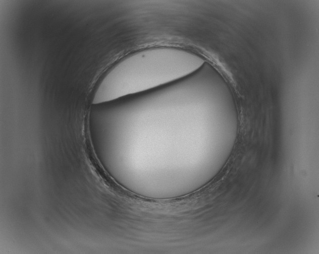 X0000074030010200608211148