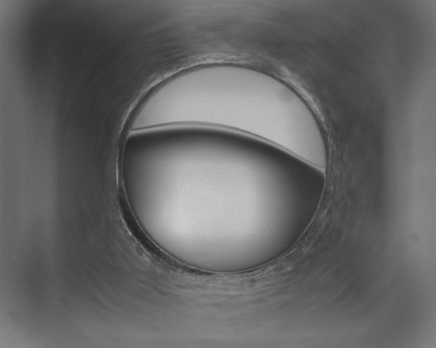 X0000074030011200608211148