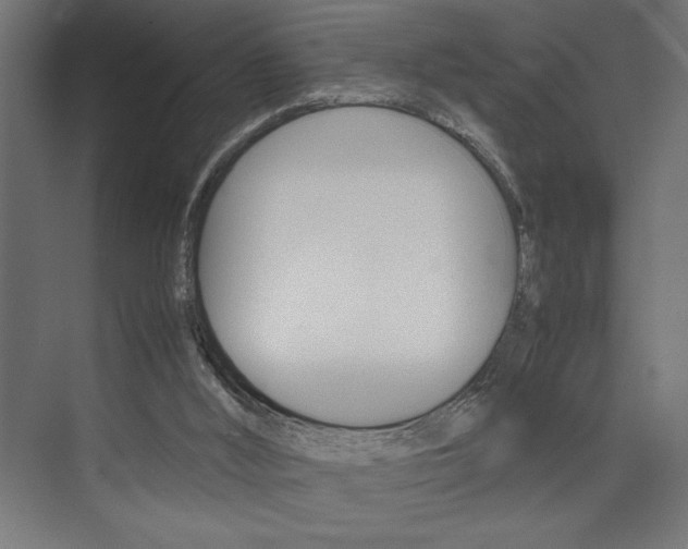X0000074030012200608211148