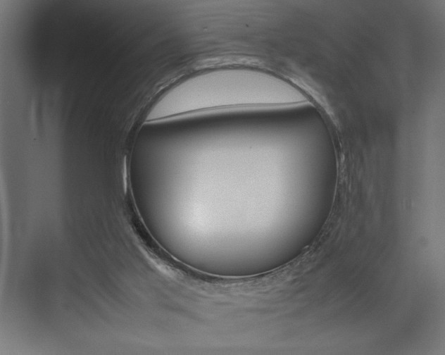 X0000074030013200608211148