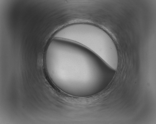 X0000074030015200608211148