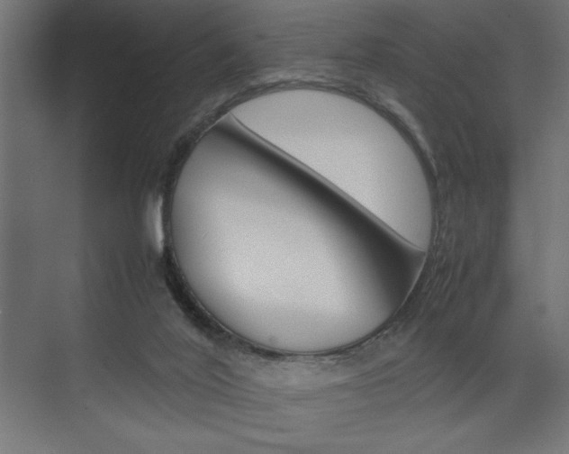 X0000074030020200608211148