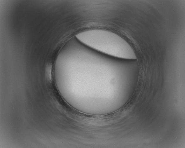 X0000074030024200608211148