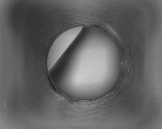 X0000074030025200608211148