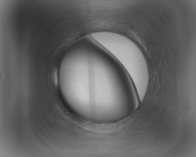 X0000074030027200608211148